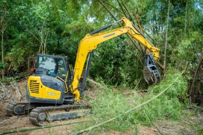 圖一、 伐採刺竹